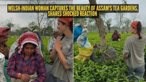 'Most humbling day of my life': Welsh-Indian woman captures the beauty of Assam's tea garden, shares unexpected reaction