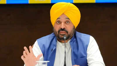  Punjab CM Bhagwant Mann blames saffron enactment      for duplicate  blasts; calls it predetermination  preparation