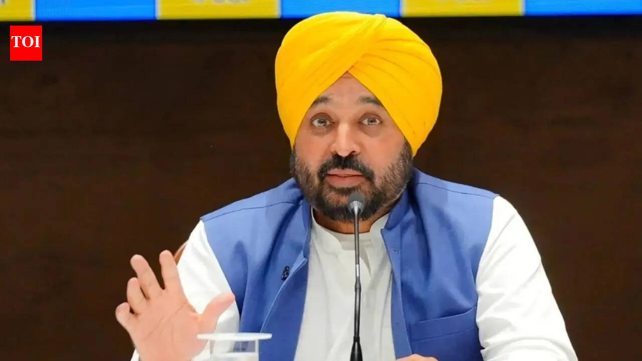 ‘Way of working’: Punjab CM Mann blames BJP for twin blasts, calls it poll prep