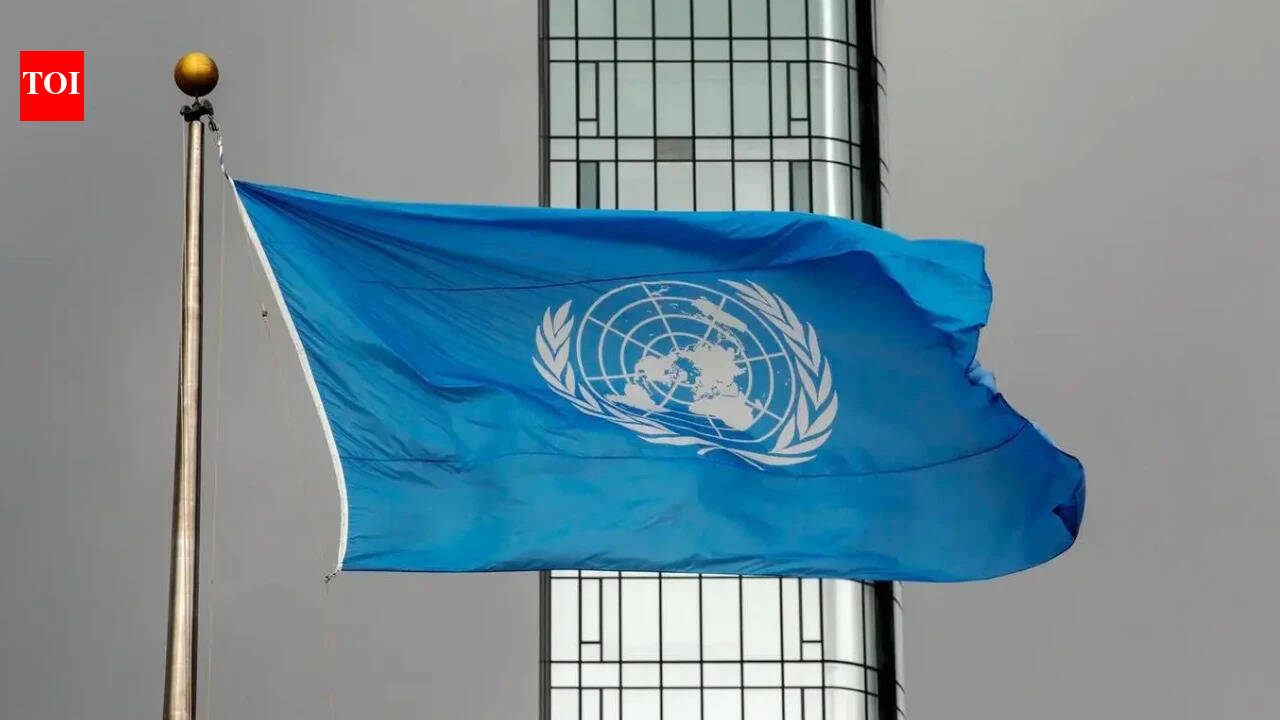 UN demands Israel 'immediately' release Gaza flotilla activists