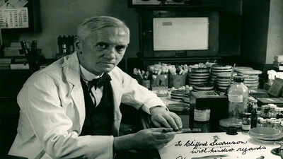 In 1928, Alexander Fleming noticed a strange mould on a petri dish, and this observation launched the antibiotic era