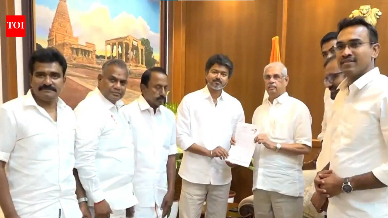 Despite Cong support, TVK still 5 seats short of majority: How will Vijay close the number gap?