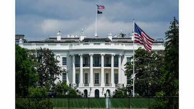 White House may be planning to bring a law to ensure Anthropic, Google and other companies cannot say 'No' to the US government in future