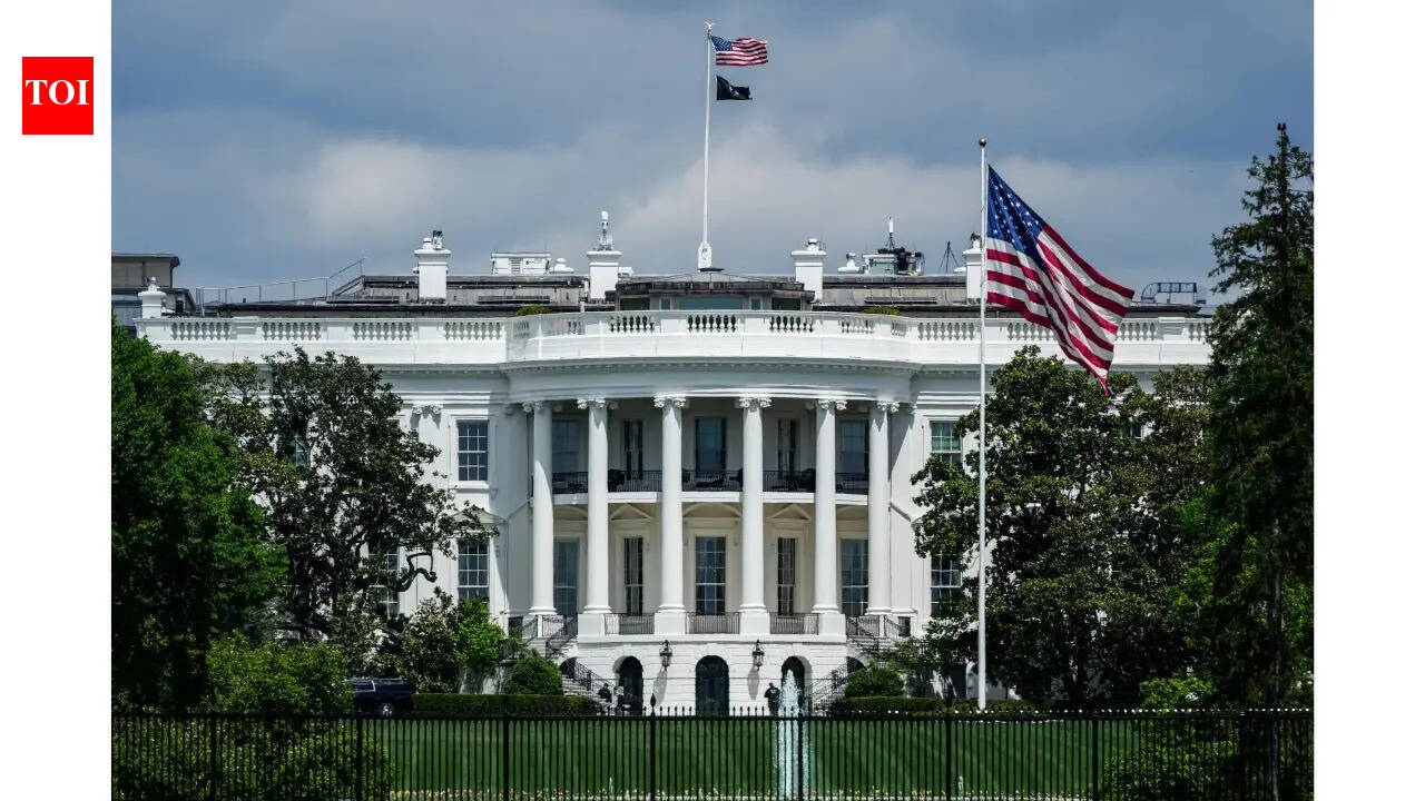 White House may be planning to bring a law to ensure Anthropic, Google and other companies cannot say 'No' to the US government in future