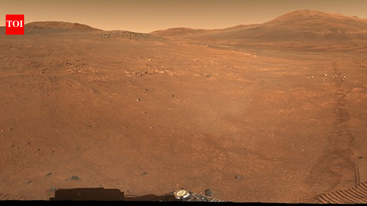 'Crocodile Bridge' on Mars: NASA’s Perseverance rover captures a mysterious ancient region on the Red Planet