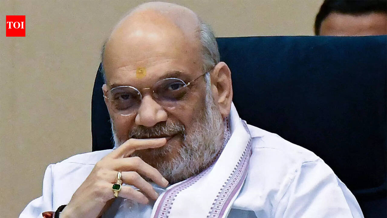 Amit Shah to chair central zonal council meet in Bastar on May 19