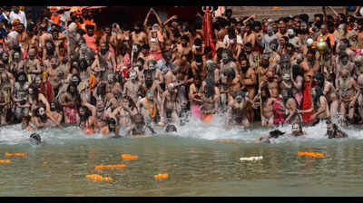 'Virtual wall' planned to prevent wildlife intrusions during Kumbh