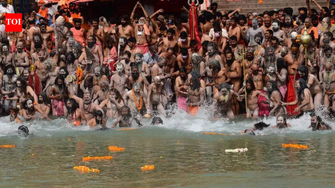 ‘Virtual wall’ planned to prevent wildlife intrusions during Kumbh