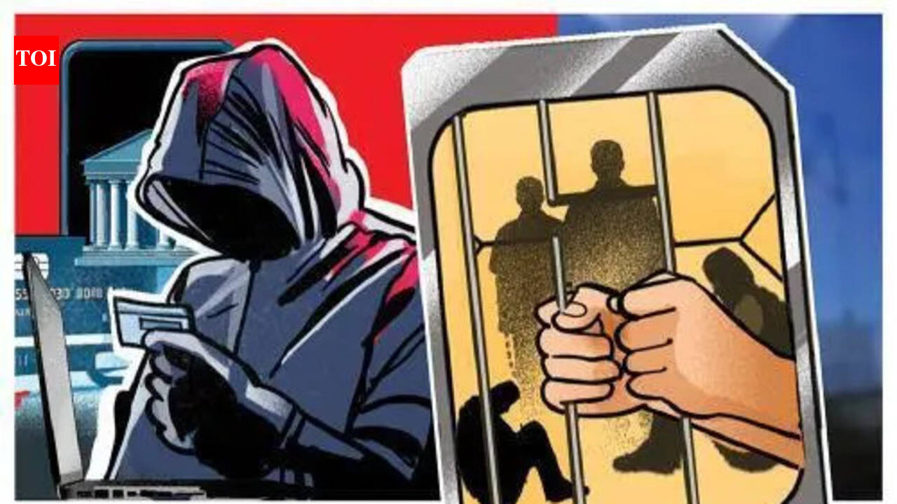 Delhi saw 404 cybercrime cases in 2024: NCRB report