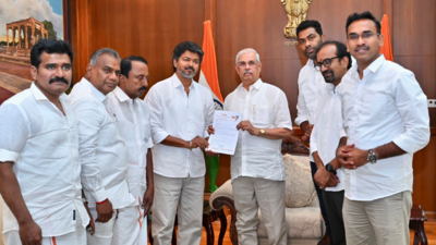 Vijay's oath-taking delayed as TVK struggles to show governor numbers