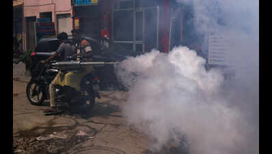 Gurgaon health department survey finds mosquito larvae in 42 of 3 lakh houses
