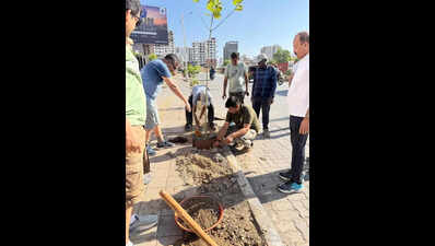 Amid soaring temperatures, Kondhwa residents take plantation into their own hands for shade