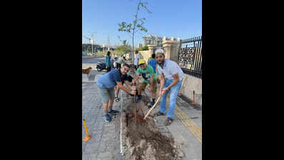 Amid soaring temperatures, Kondhwa residents take plantation into their own hands for shade
