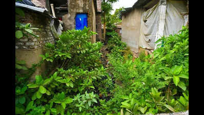 50 Yrs On, PDKV Watches Sharks Gobble Land: 26.69 hectares in prime Nagpur locality remain illegally occupied