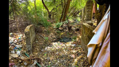 50 Yrs On, PDKV Watches Sharks Gobble Land: 26.69 hectares in prime Nagpur locality remain illegally occupied