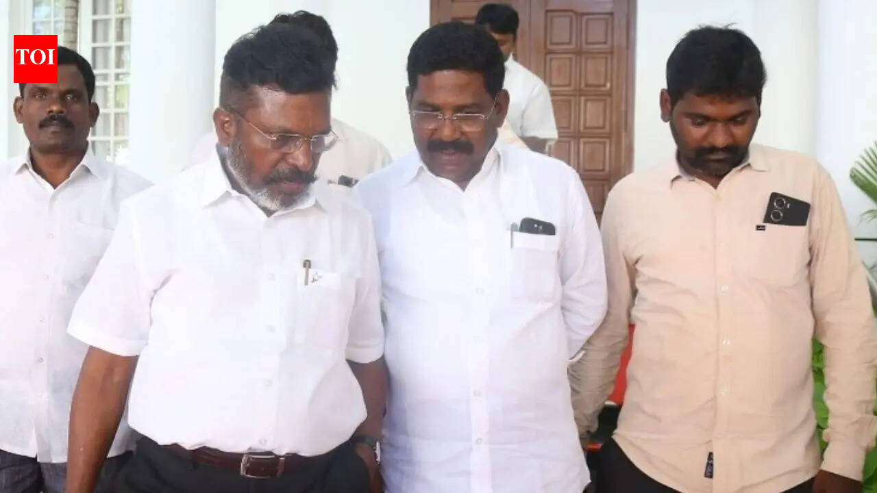 Tamil Nadu election results: VCK Sinthanai Selvan urges DMK, AIADMK to propose Thol Thirumavalavan as CM
