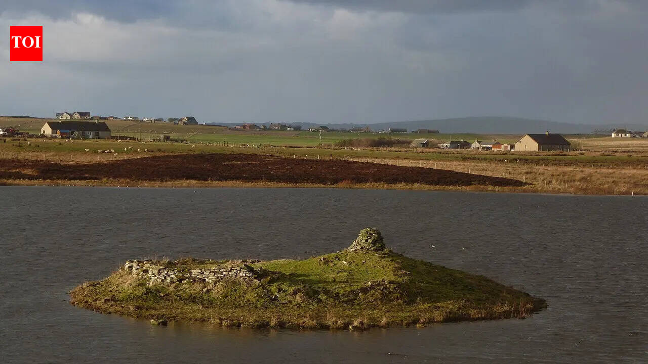 The secret of the lochs: Scotland’s hand-built islands resting on wood