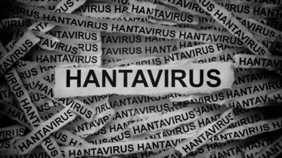 Rare Hantavirus Andes strain linked to illness and death on cruise ship: Symptoms, fatality rate and other details