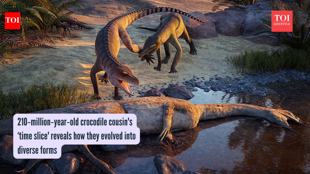 210‑million‑year‑old crocodile cousin's ‘time slice' reveals how they evolved into diverse forms