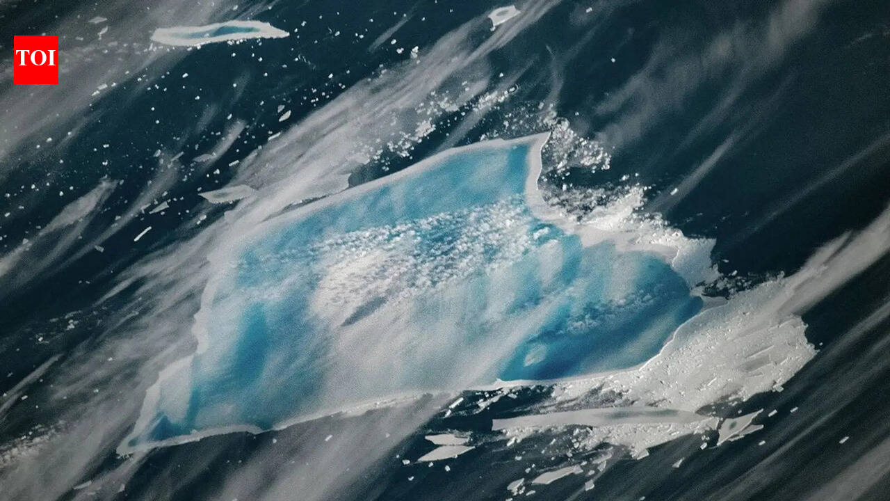 The great white giant turns blue: The final act of Iceberg A-23A