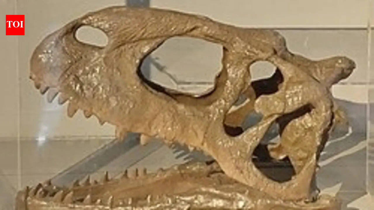 Dinosaurs found in India: The giant creatures that once roamed the subcontinent