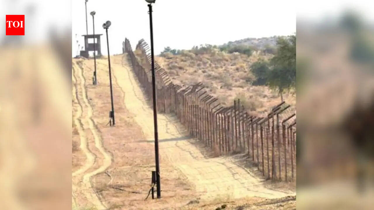 Pakistani man crosses border into Rajasthan after family refuses marriage, detained