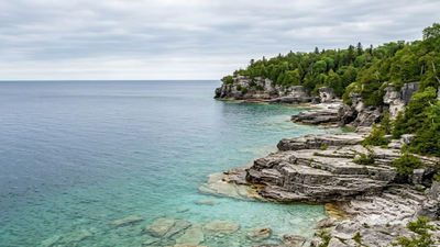 Beware the water: These 5 US states are packed with water snakes
