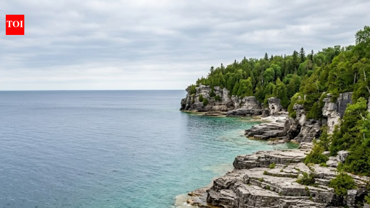 Beware the water: These 5 US states are packed with water snakes