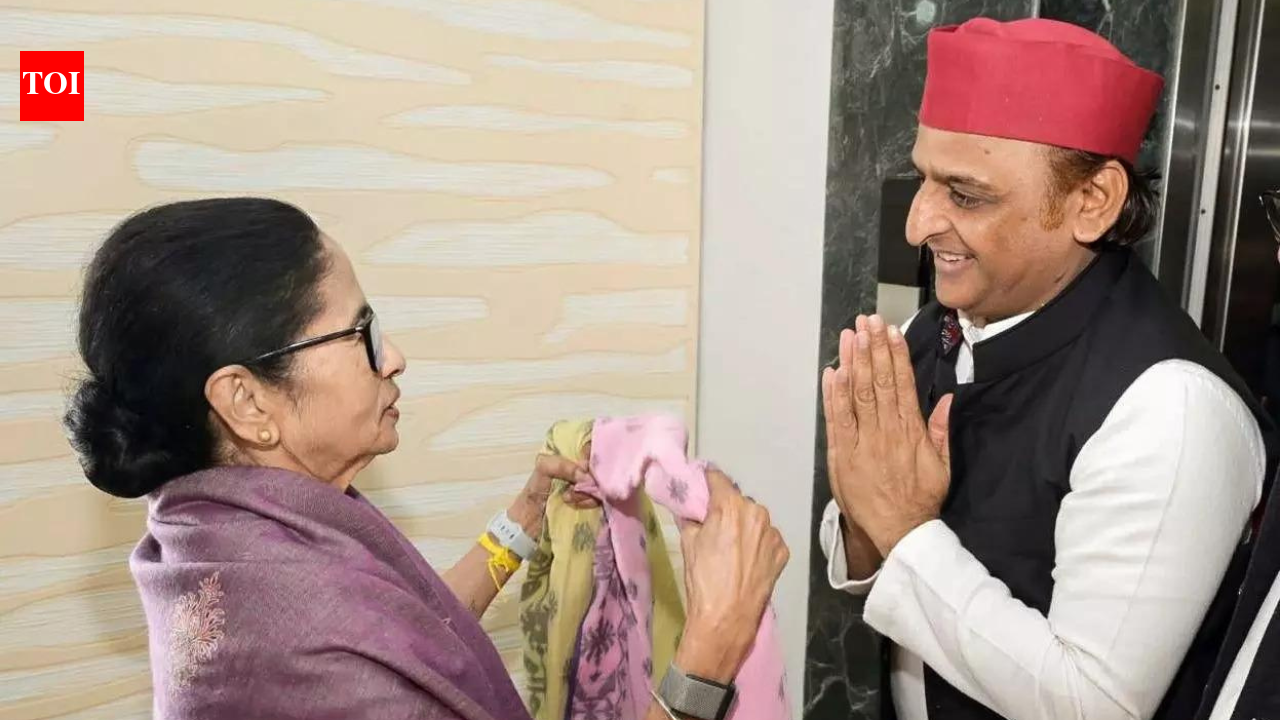 'Didi, you have not lost': Akhilesh Yadav meets Mamata, gives emotional support after TMC's Bengal rout