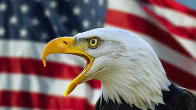 If caught with this one item when in the United States, tourists could face a fine of USD 100,000 and prison sentence