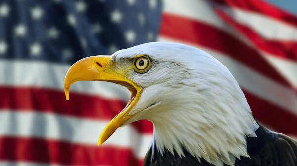If caught with this one item when in the United States, tourists could face a fine of USD 100,000 and prison sentence