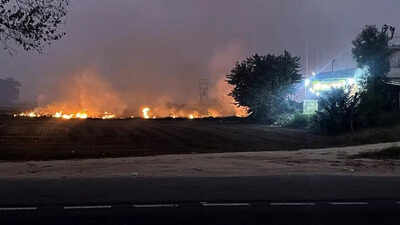 978 farm fires in Punjab in a day, season’s highest