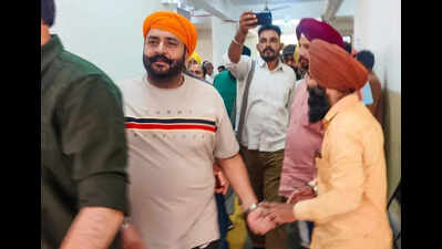 Pathanmajra remanded in police custody in illegal mining case