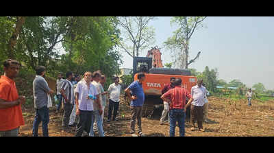NGT notice to authorities on tree felling claims for urban devpt project in Mayurbhanj