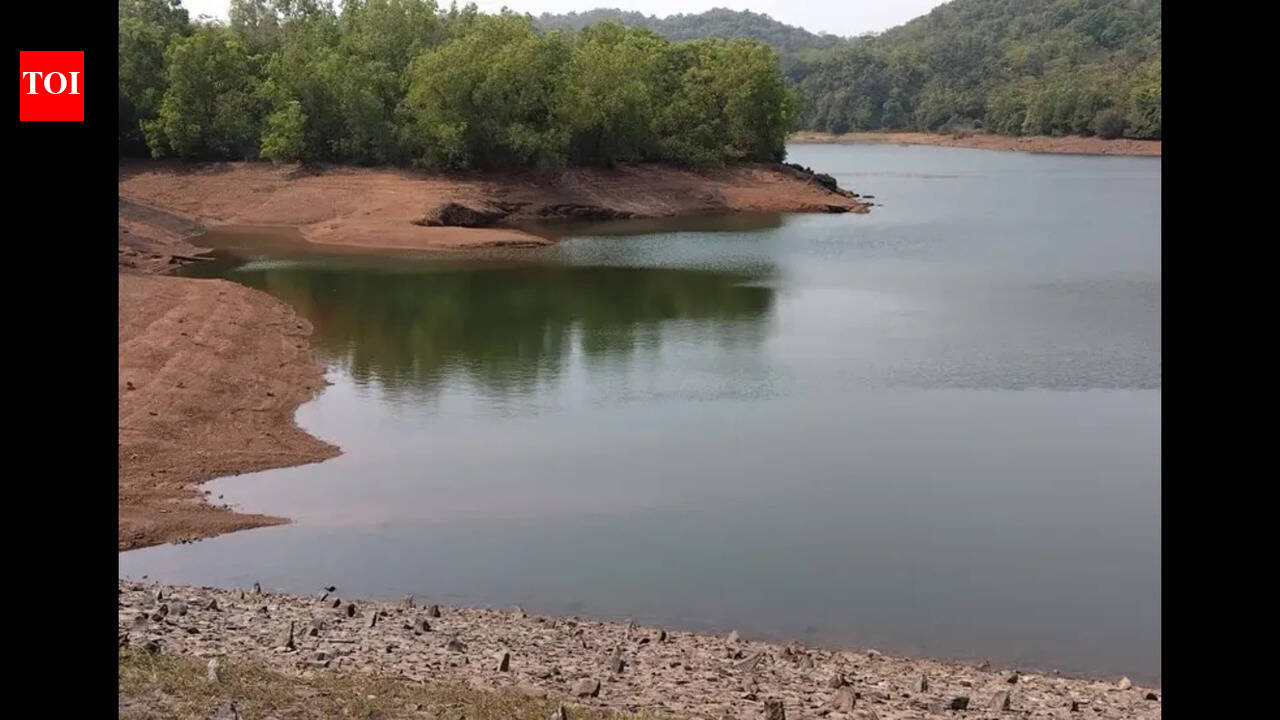 Mhaisal Dam Water Supply Secured for Two Months, Says WRD Official ...