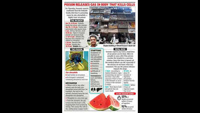 Rat poison inside watermelon killed Mumbai’s Dokadia family; police to probe accident, suicide or homicide angles