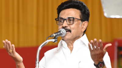 DMK support for AIADMK govt? Stalin to decide