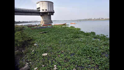 1,500 cusecs being released to improve water quality in weir