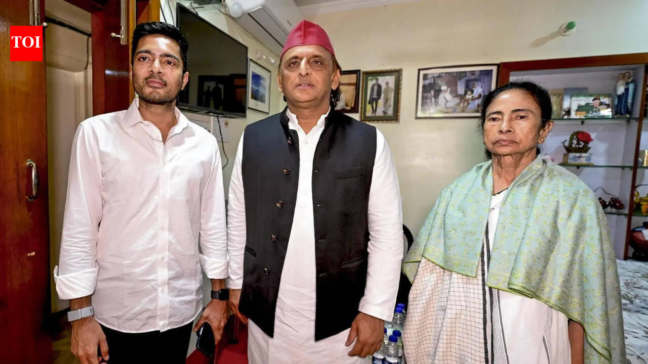 Didi you are not defeated: Akhilesh calls on Mamata after TMC rout