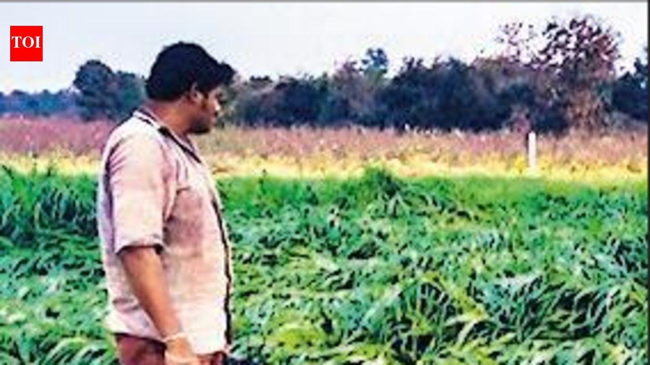 10,546 farm suicides in 2024, 2% dip from previous year: Data