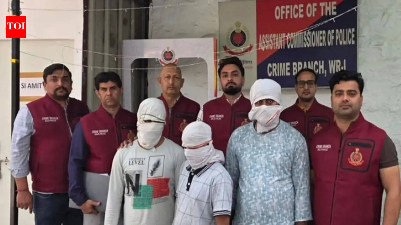 48 hours, 1k teams, 482 arrests: Delhi police nabs suspects linked to criminal gangs in India, Pakistan