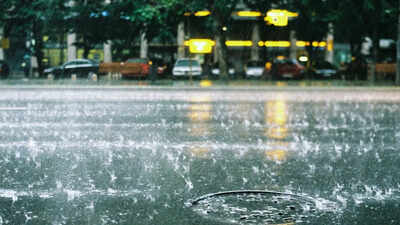 IMD issues rain and heat wave warnings across India: Travel advisory for tourists and holidaymakers