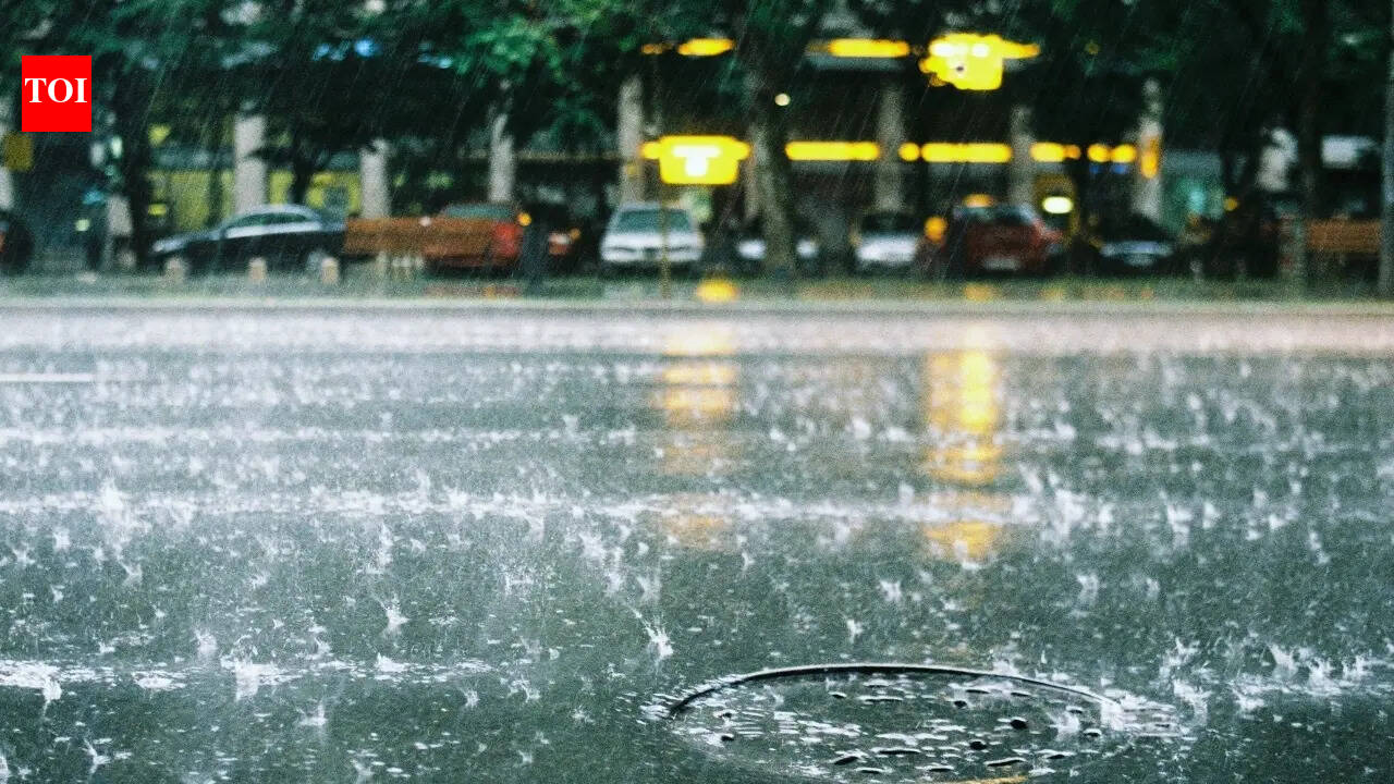 IMD issues rain and heat wave warnings across India: Travel advisory for tourists and holidaymakers