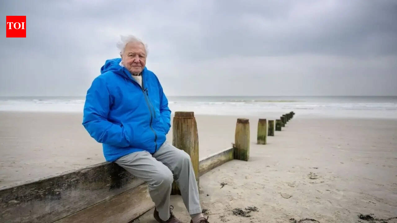 Sir David Attenborough turns 100: What’s his secret to longevity?