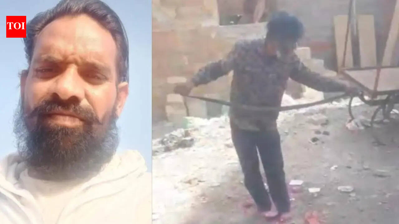 Snake rescuer dies after cobra bites him 3 times during rescue attempt in Rajasthan