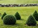 The 'woven' border: The pro secret to planting small evergreens for a designer look