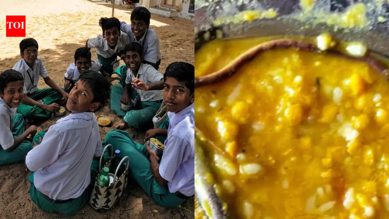 Over 150 children fall sick after baby snake found in mid-day meal: This is what MHRD guidelines for the safety of Mid-Day Meal Scheme says