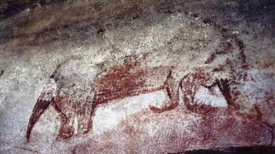 Forgotten fossils reveal the giant egg-laying mammals of ancient Australia