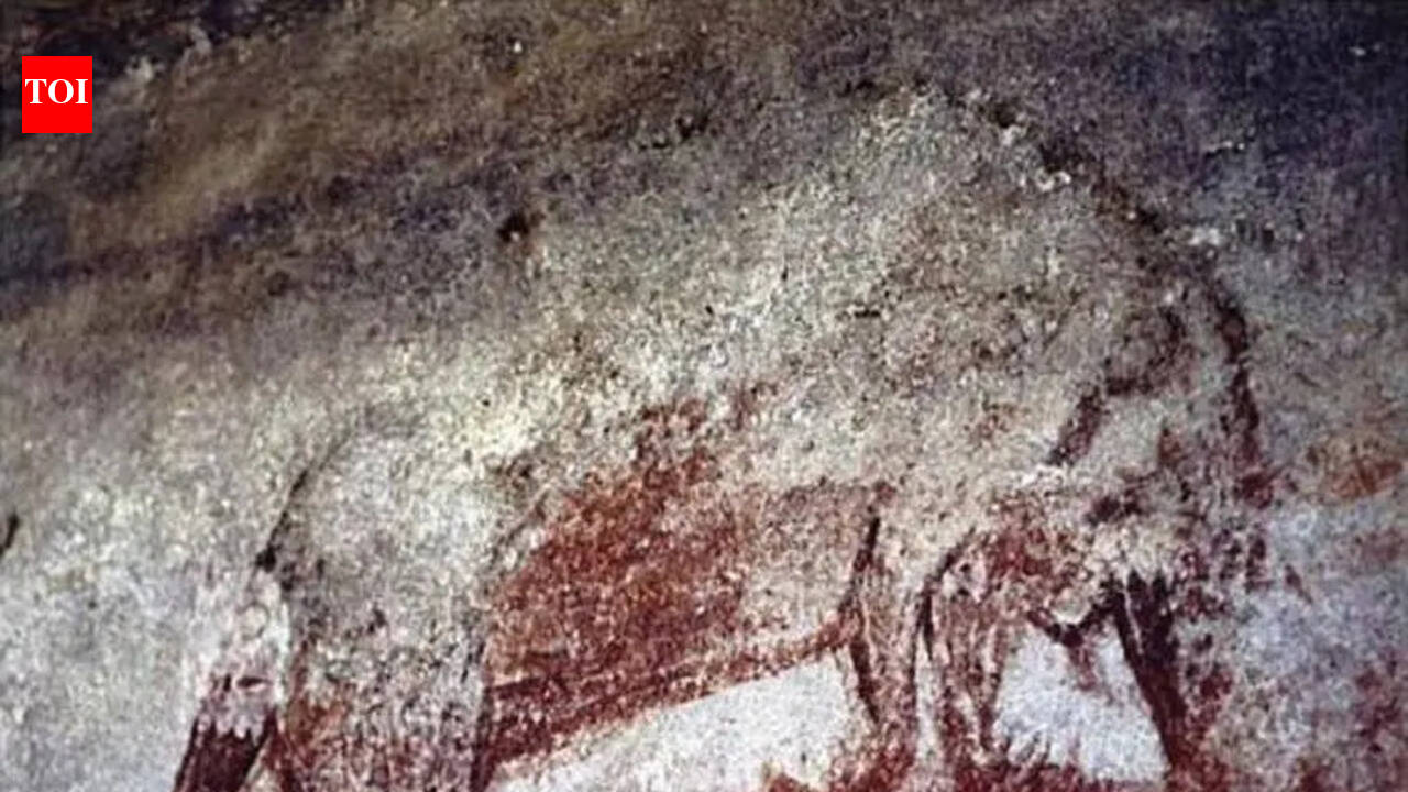 Forgotten fossils reveal the giant egg-laying mammals of ancient Australia