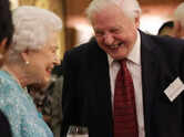 David Attenborough is 100: 5 interesting facts about the legendary British naturalist